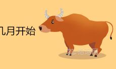 2021牛年是几月开始 本命年从什么时候开始算