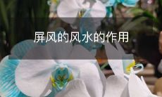 屏风的风水的作用