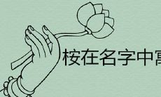 桉在名字中寓意好吗 搭配哪些字取名很大气