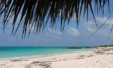 元建国姓名评分89分