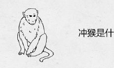 冲猴是什么意思 可以结婚搬家吗