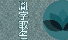 胤字取名有什么寓意 好听有范儿男孩名推荐大全