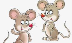 2023年兔年生肖鼠运势怎么样