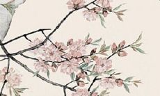 立秋节气吃什么 贴秋膘咬秋瓜喝秋水