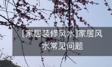 [家居装修风水]家居风水常见问题
