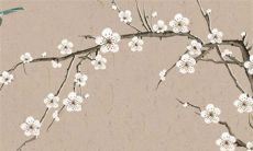 处暑是一年中最热的时候吗 大暑小暑比处暑更热