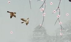 2022年立秋是否晚立秋 六月立秋赶死牛,七月立秋慢悠悠