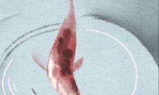 九大富贵桃花面相