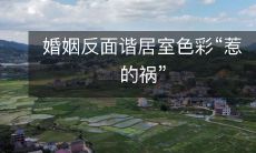 婚姻反面谐居室色彩“惹的祸”