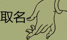 琮字取名什么寓意 帅气阳光的男孩名字有哪些