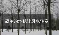 简单的地毯让风水转变