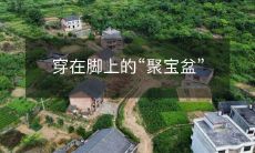 穿在脚上的“聚宝盆”