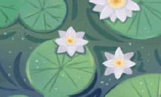 解析：什么是死鱼眼？