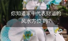 你知道家中代表财运的风水方位 吗?