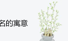 燚字取名的寓意