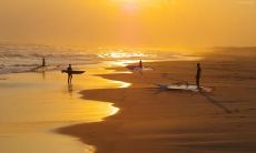 安学良姓名评分81分