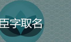名字带臣寓意是好是坏 带臣字的霸气男孩取名推荐