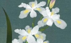 2022年3月16日五行穿衣指南 今日衣服颜色搭配查询