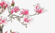 2022年3月11日五行穿衣分享 最佳幸运色查询