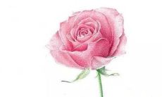 每日五行穿衣分享:2022年3月15日穿衣最佳幸运色