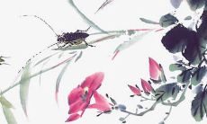 穿衣色彩攻略:2022年3月9日五行穿衣属性查询