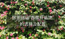 居家财运‘吉祥开运物’的选择及配置