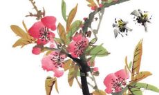 今日五行穿衣:2022年3月2日穿什么颜色旺运势