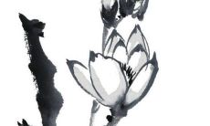 2022年2月28日五行属性查询 每日五行穿衣搭配