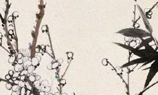 2022年立春当天出生命好吗 发福之命财星拱照