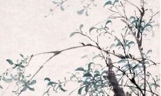 正月初八出生的女孩命好不好 这天出生女子姻缘