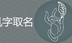 起名用胤的禁忌是什么 有什么寓意