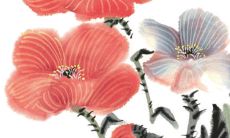 2022年3月1日五行穿衣分享 最佳幸运色查询