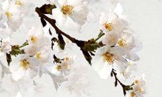 2022年3月8日妇女节五行穿衣指南 今日穿衣早知道