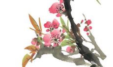 2022年3月3日五行穿衣一览表 今日最旺颜色查询