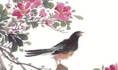 2022年3月10日五行属性查询 每日五行穿衣搭配