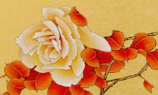 五行穿衣旺运:2022年3月17日穿衣幸运色搭配分享