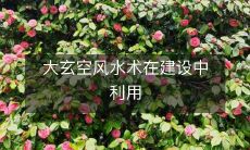 大玄空风水术在建设中利用