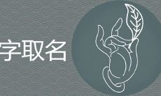 槿做名字的寓意好吗 搭配哪些字起名寓意好