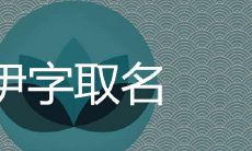 伊字的寓意是什么 带伊的浪漫女孩名字有哪些