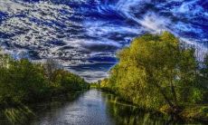 属鼠的感情运势 属鼠的和什么属相最配