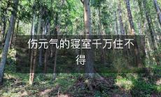 伤元气的寝室千万住不得