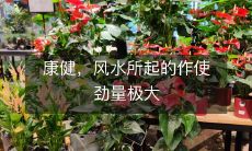 康健,风水所起的作使劲量极大