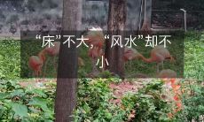 “床”不大,“风水”却不小