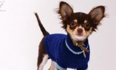 阮柳洪姓名评分90分