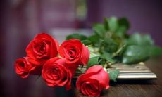 董张成姓名评分97分