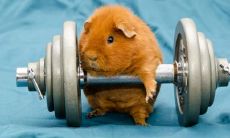 孔庆渠姓名评分74分