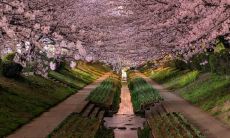 卞雯卉姓名评分97分