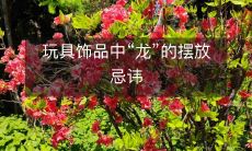 玩具饰品中“龙”的摆放忌讳