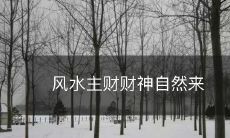 风水主财财神自然来
