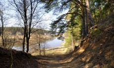 吕辉生姓名评分88分